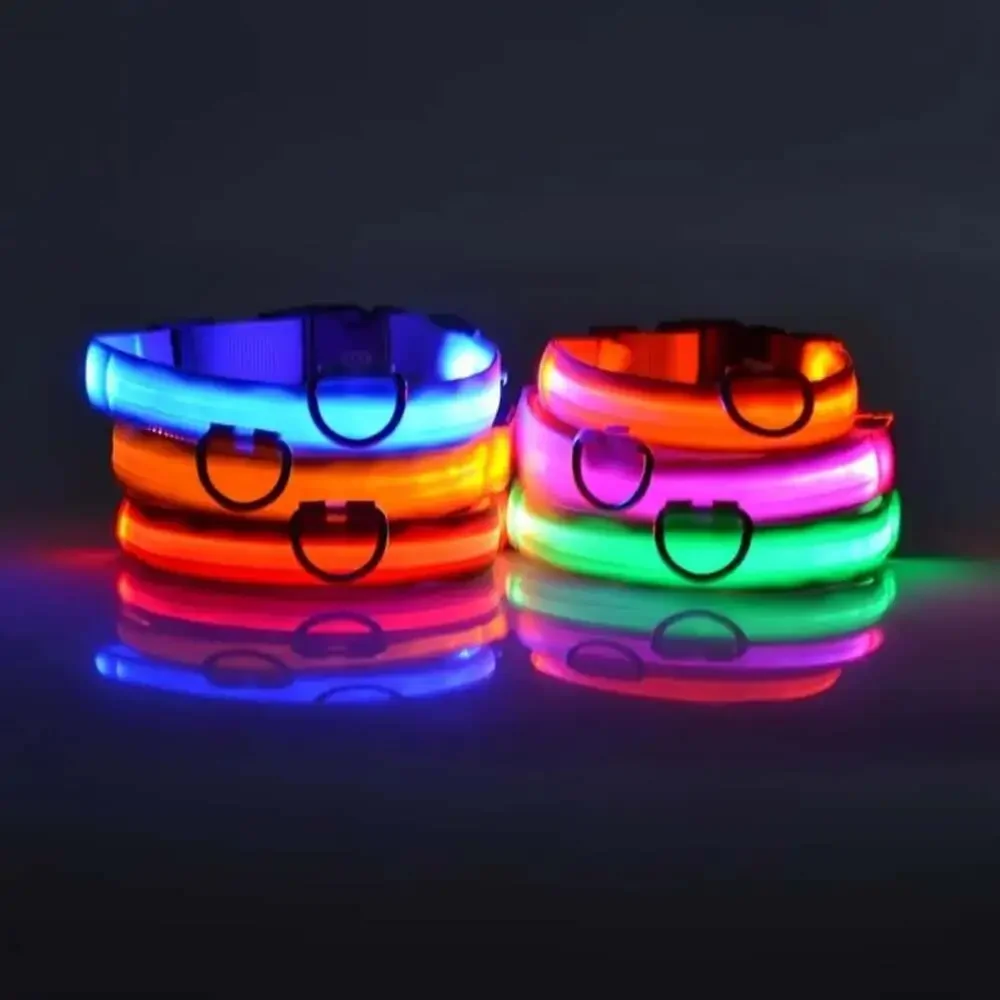 Nylon LED Night Safety Flashing Glow in the Dark Dog Leash Dogs Luminous Fluores